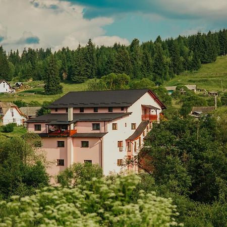 Pensiunea Auras Dorna Arini Zewnętrze zdjęcie